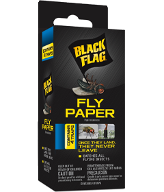 Black Flag Fly Paper Glue Insect Traps (4-Count) HG-11016-1 - The Home Depot