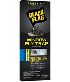 Window Fly Traps Indoor Clear 30 Pack, Sticky Window Fly Paper Strips  Indoor Fly Catchers Flypaper for Home