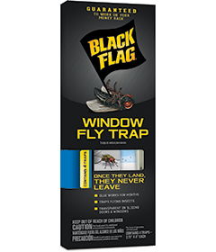 https://s7cdn.spectrumbrands.com/~/media/HomeAndGarden/Black%20Flag/images/product/HG11018.png