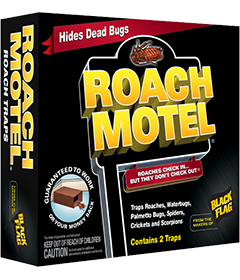BugMD Pantry Pest Patrol (6 Count, Black) - Moth Traps for Kitchen, Pantry  Moth Trap, Bug Trap, Moth Traps for House Pantry, Get Rid of Pantry Moth