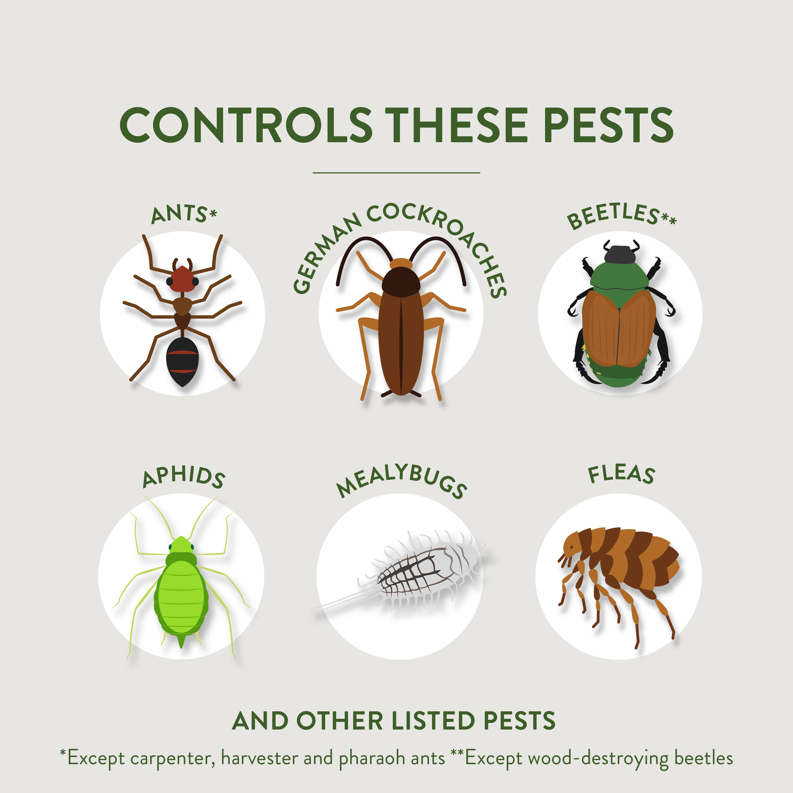 Crawling Insect Killer Containing Diatomaceous Earth | Garden Safe