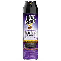 Hot Shot™ Bed Bug Glue Trap