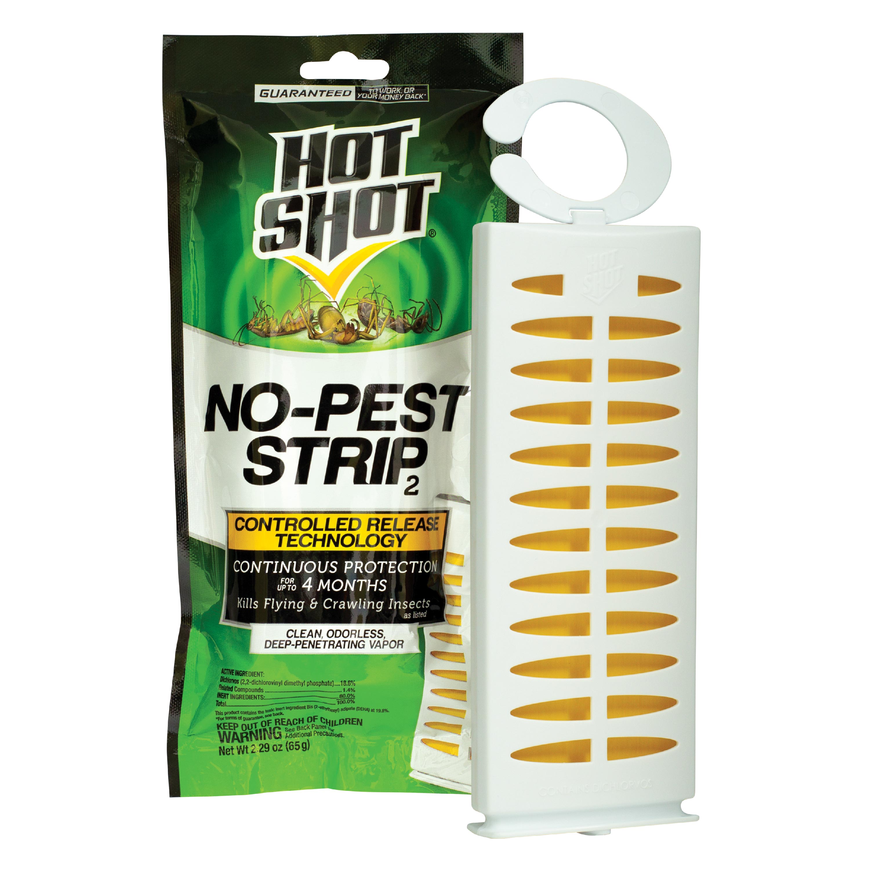 Fruit Fly BarPro – 4 Month Protection Against Flies, Cockroaches & Other  Pests. Fly Traps for Indoors/Outdoor. Better Than Mosquito Zapper