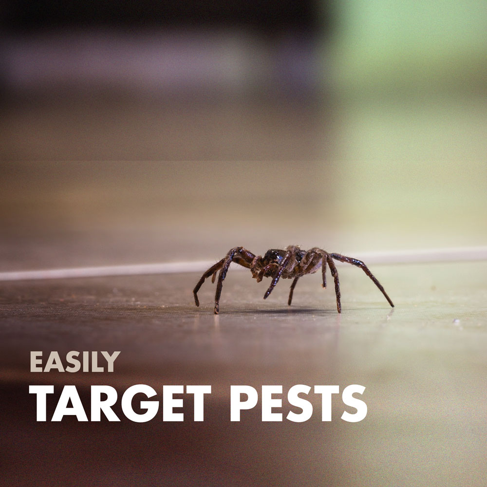 Pro-Pest R.T.U. Pantry Moths & Cigarette Beetle Traps