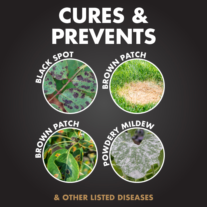 HG-51000 Immunox® Multi-Purpose Fungicide Spray Concentrate For Gardens Cures & Prevents