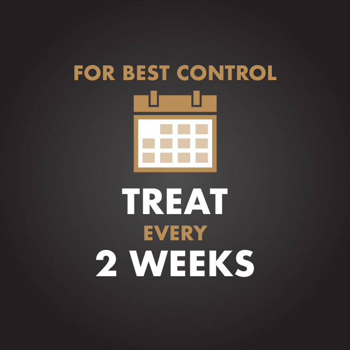 HG-51000 Immunox® Multi-Purpose Fungicide Spray Concentrate For Gardens Treat Every 2 Weeks