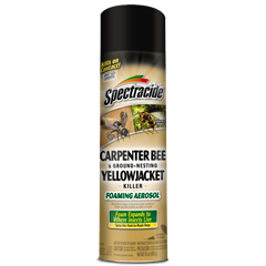 Spectracide Carpenter Bee and Ground Nesting Yellow Jacket Killer Foaming Aerosol