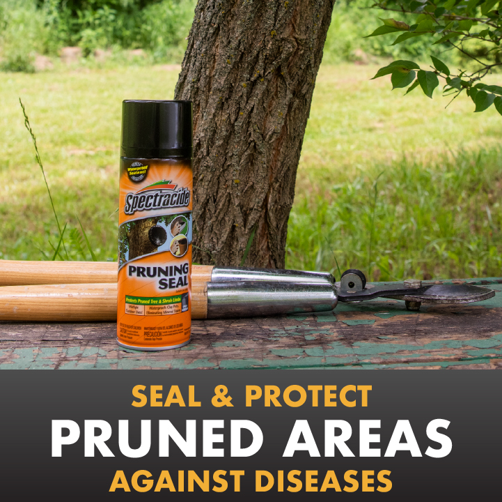Seal and protect pruned areas