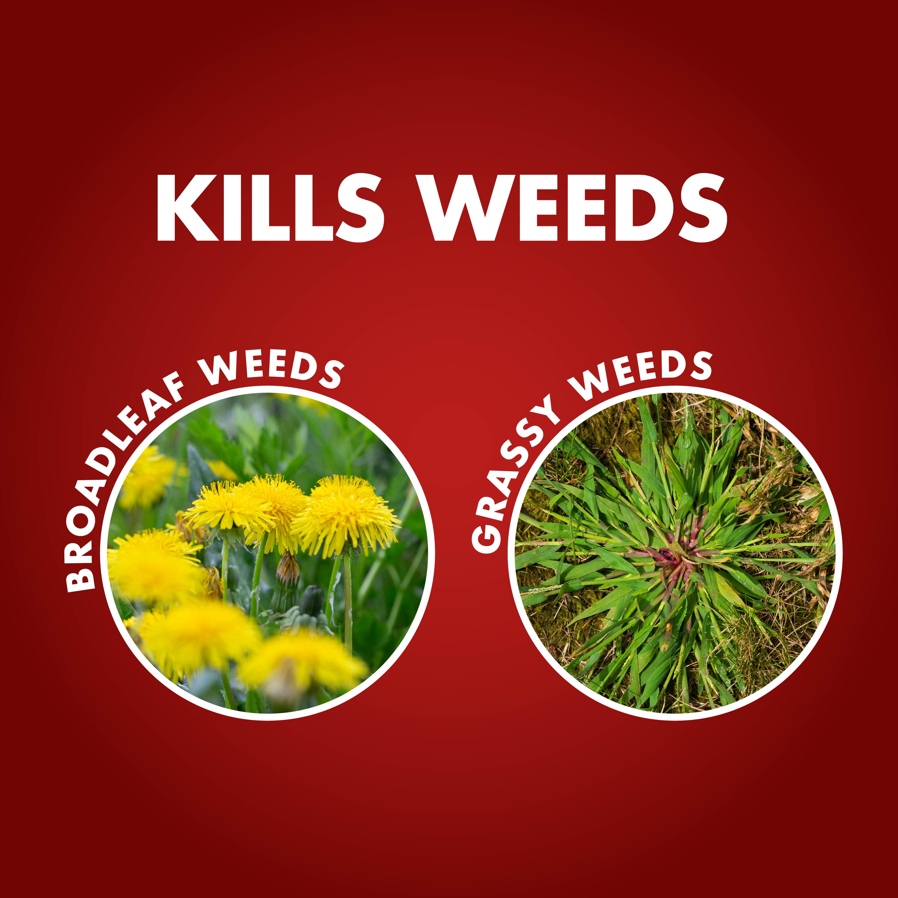HG-97186 One-Shot™ Weed & Grass Killer2 (AccuShot® Sprayer), 1 gal - Kills Weeds