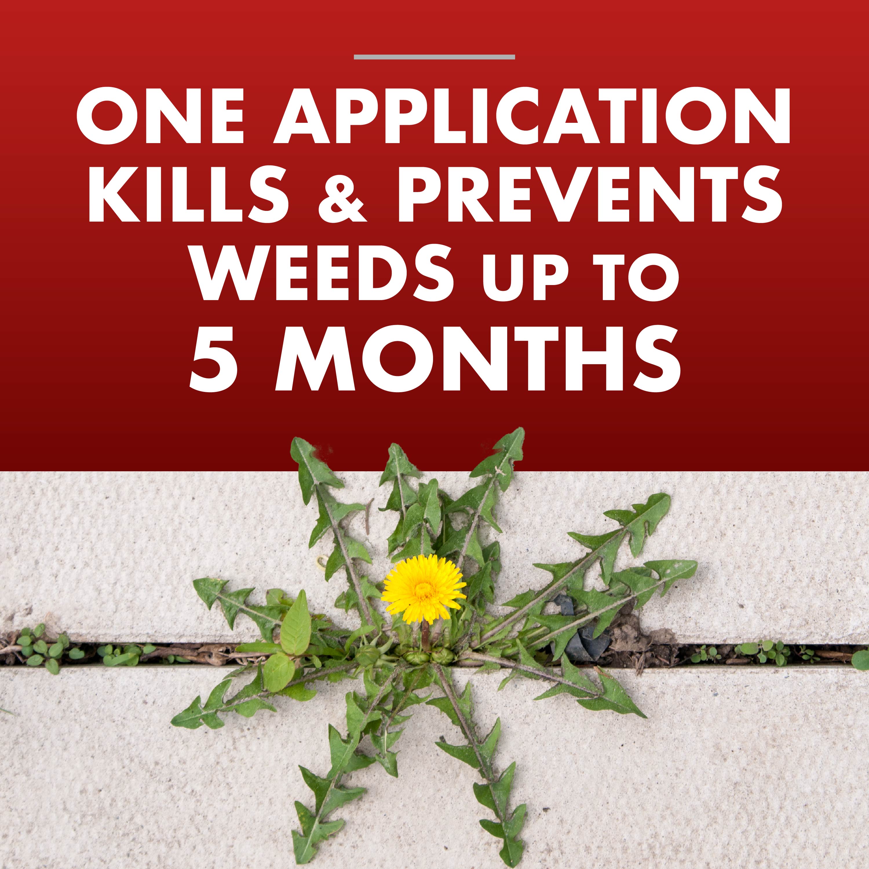 HG-97188 One-Shot™ Weed & Grass Killer Concentrate2, 32 oz - Kills & Prevents Weeds up to 5 Months