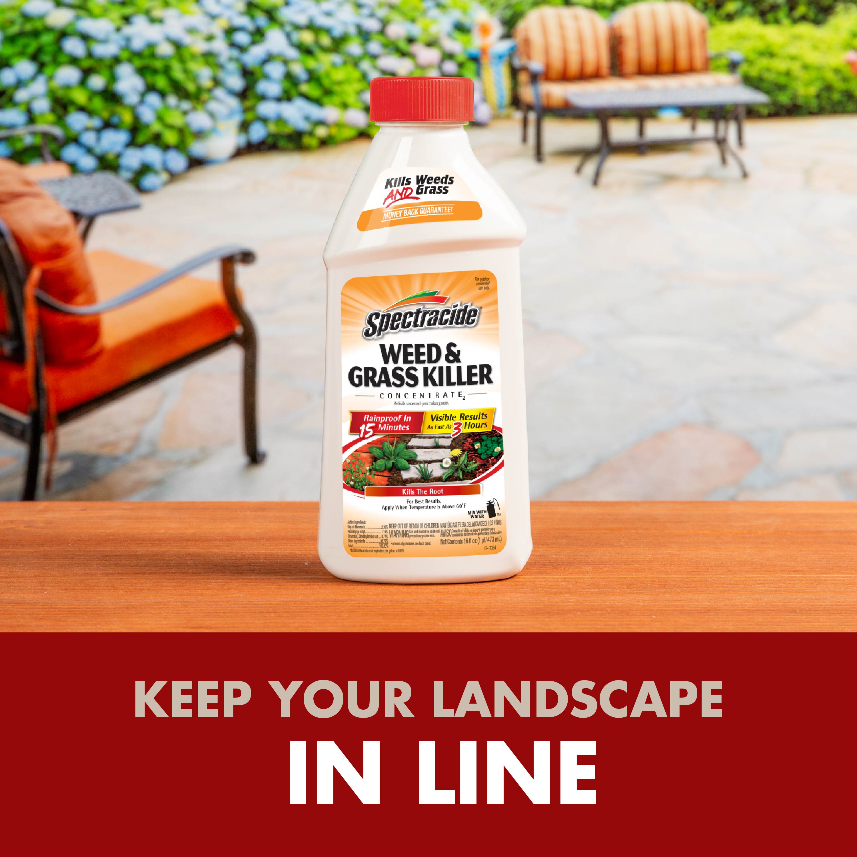 Spectracide® Weed & Grass Killer Concentrate