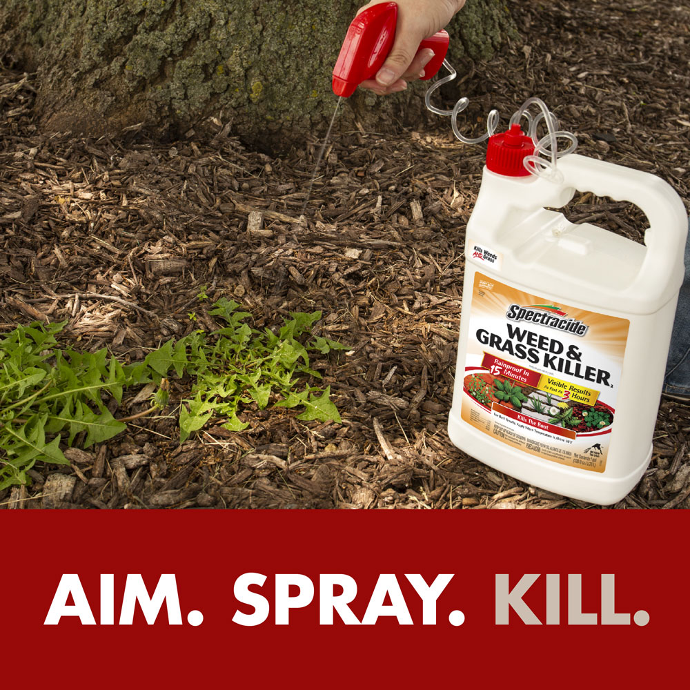 Spectracide® Weed & Grass Killer2 (Ready-to-Use)