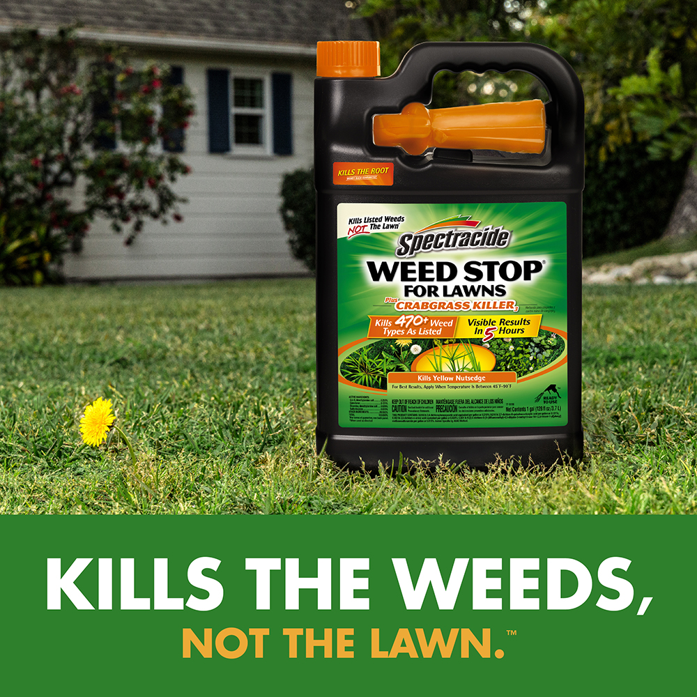 Kills the weeds, not the lawn.