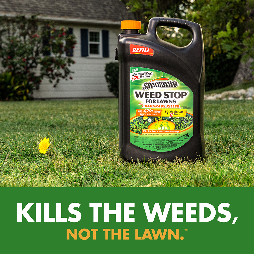 Kills the weeds, not the lawn.