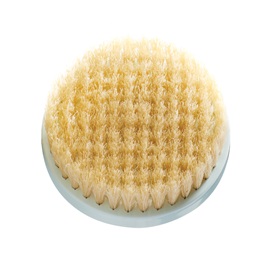 SP-BB2B Replacement Natural Brush Head