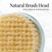 Natural Brush Head for Gentle Exfoliation | SP-BB2B