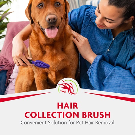 Brosse ramasse poils Hair Collection FURminator
