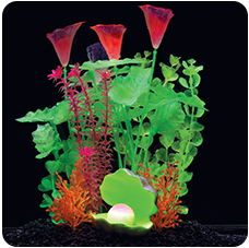 GloFish Aquarium Kit — NurturePet Pet Supply