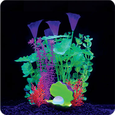 GloFish Fish Tank Decor: How to Create a Stunning Aquascape