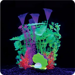 Home  GloFish®