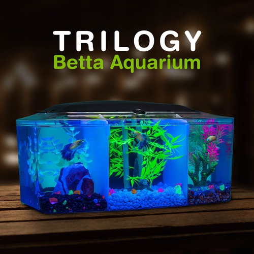 Betta Trilogy Aquarium