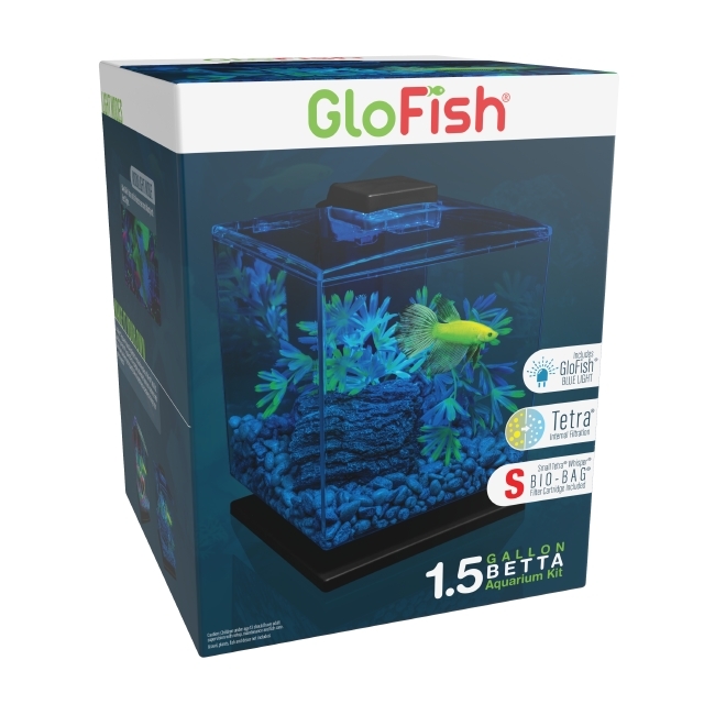 Glofish tank setup outlet