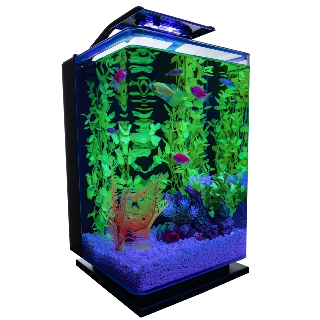 Petco glofish 2024 tank