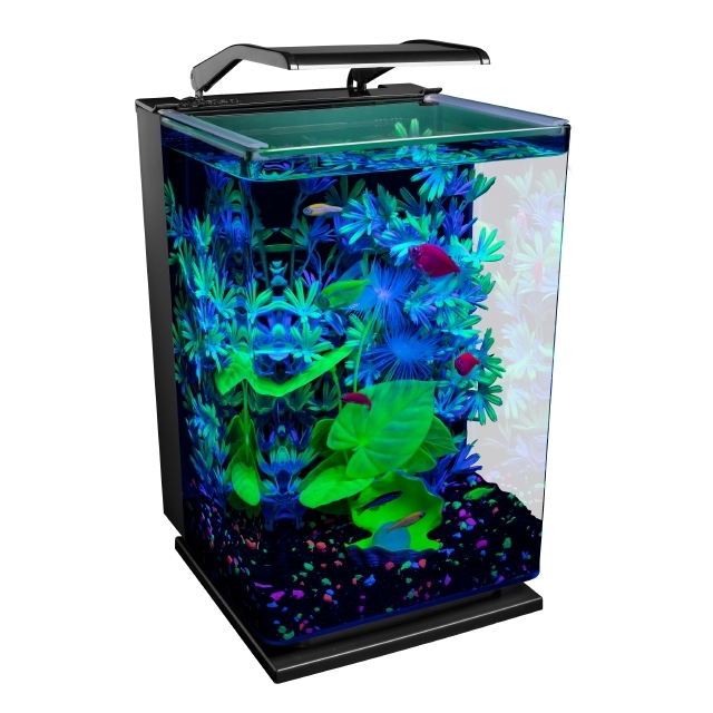 Five gallon fish tank sales