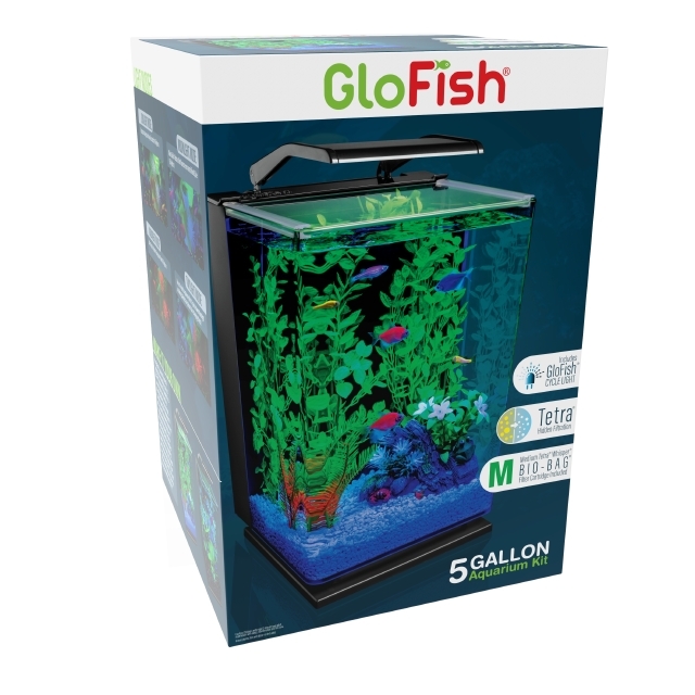 GloFish Desktop Aquarium Kit 5 Gallon GloFish