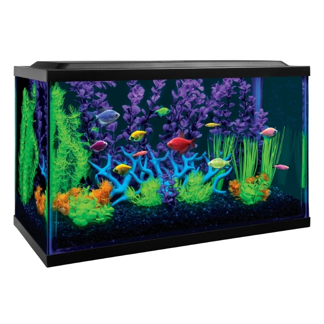 Products GloFish