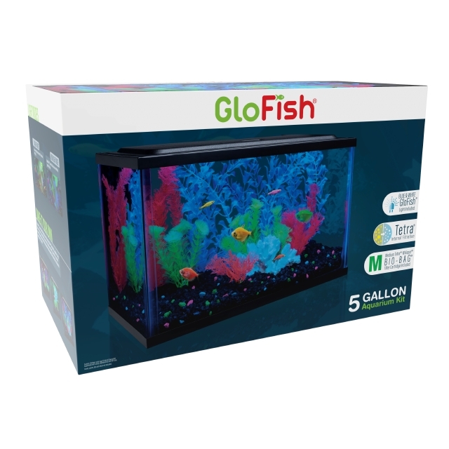 5 gallon glofish hotsell tank petsmart