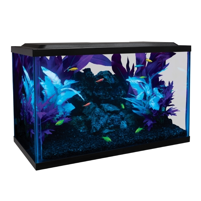 Glofish tank accessories online