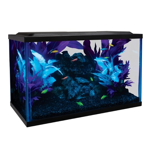 GloFish Aquarium Kit - 10 Gallon