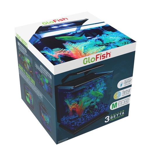 Fish Tank, 3 Gallon Glass Aquarium with Air Pump, LED Cool Lights and  Filter, Small Fish Tank for Betta Fish Starter Kit (Black)
