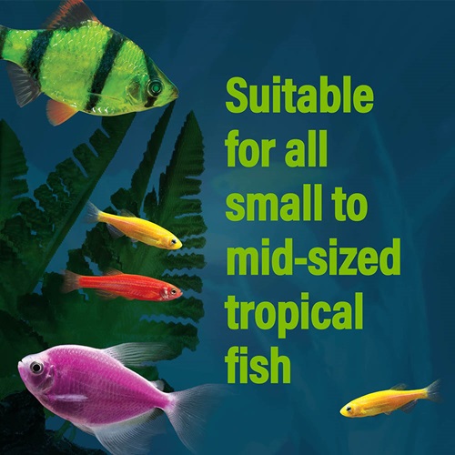 suitable for all small to mid-sized tropical fish