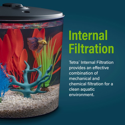 GloFish 1.5 Gallon Aquarium Kit