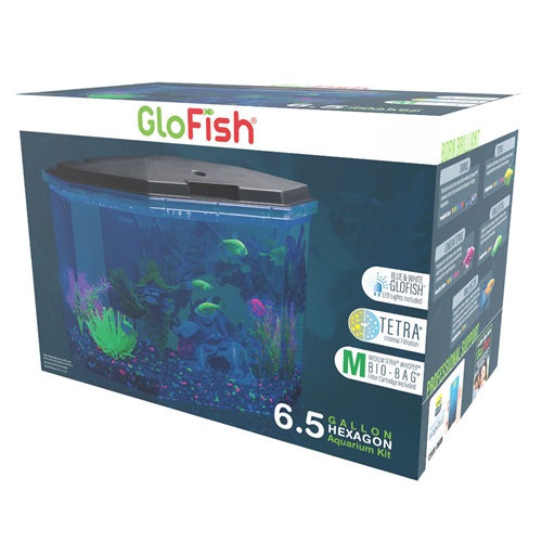 6 5 Gallon Hexagon Aquarium Kit Glofish