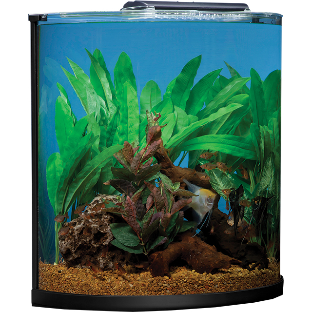 220 Gallon Half-Moon Fish Tank - FishOnlineStore
