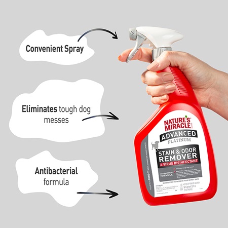 Advanced Stain and Odor Eliminator for Dogs