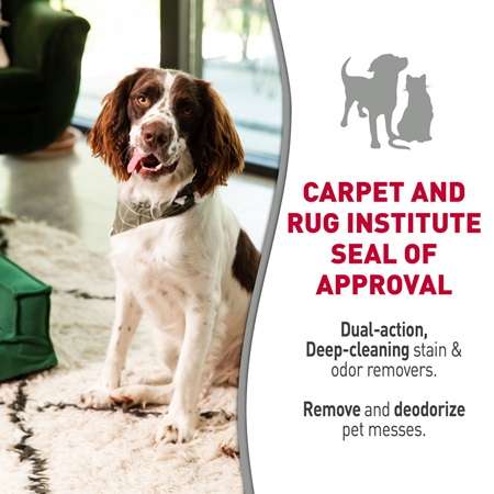 Cleaning Solutions - The Carpet and Rug Institute