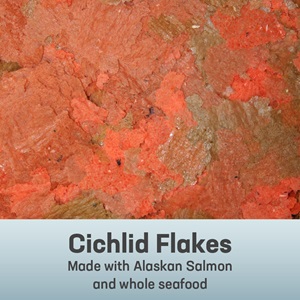 Cichlid Flakes Made with Alaskan Salmon and Whole Seafood