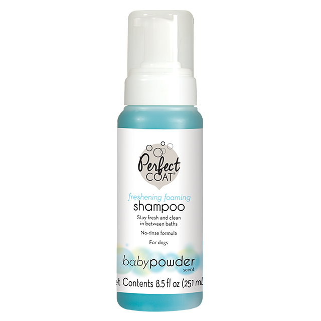 Freshening Foaming Shampoo
