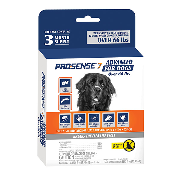 Flea and tick online solutions for dogs