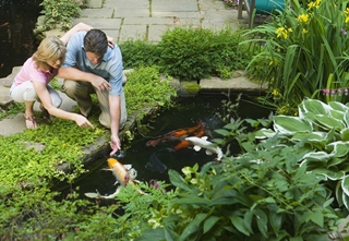 Step 1 of pond building is choosing where to put a pond location.