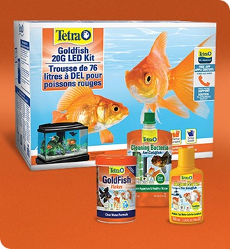 Tetra Goldfish Program
