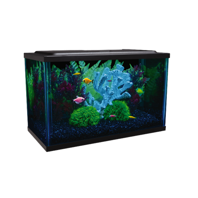 GloFish® Glass Aquarium Kit