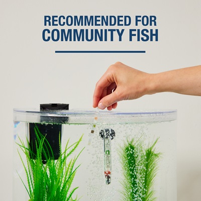 AQ-78482E Tetra® STEM Aquarium Kit with Activity Guide, 3 Gal Recommended for Community Fish