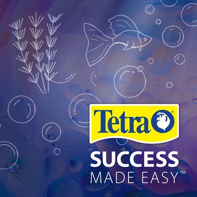 AQ-78482E Tetra® STEM Aquarium Kit with Activity Guide, 3 Gal Brand Statement