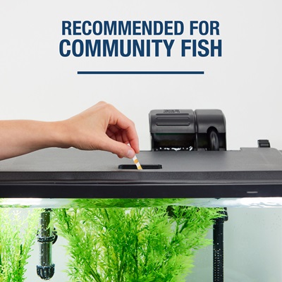 NV33904 Tetra® STEM Aquarium Kit with Activity Guide, 10 Gal For Community Fish