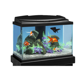 | Aquarium Kits Tetra®